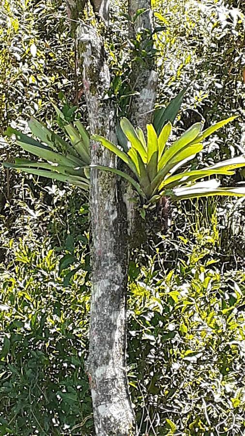 Loft Aconchego Da Serra Petrópolis Zewnętrze zdjęcie